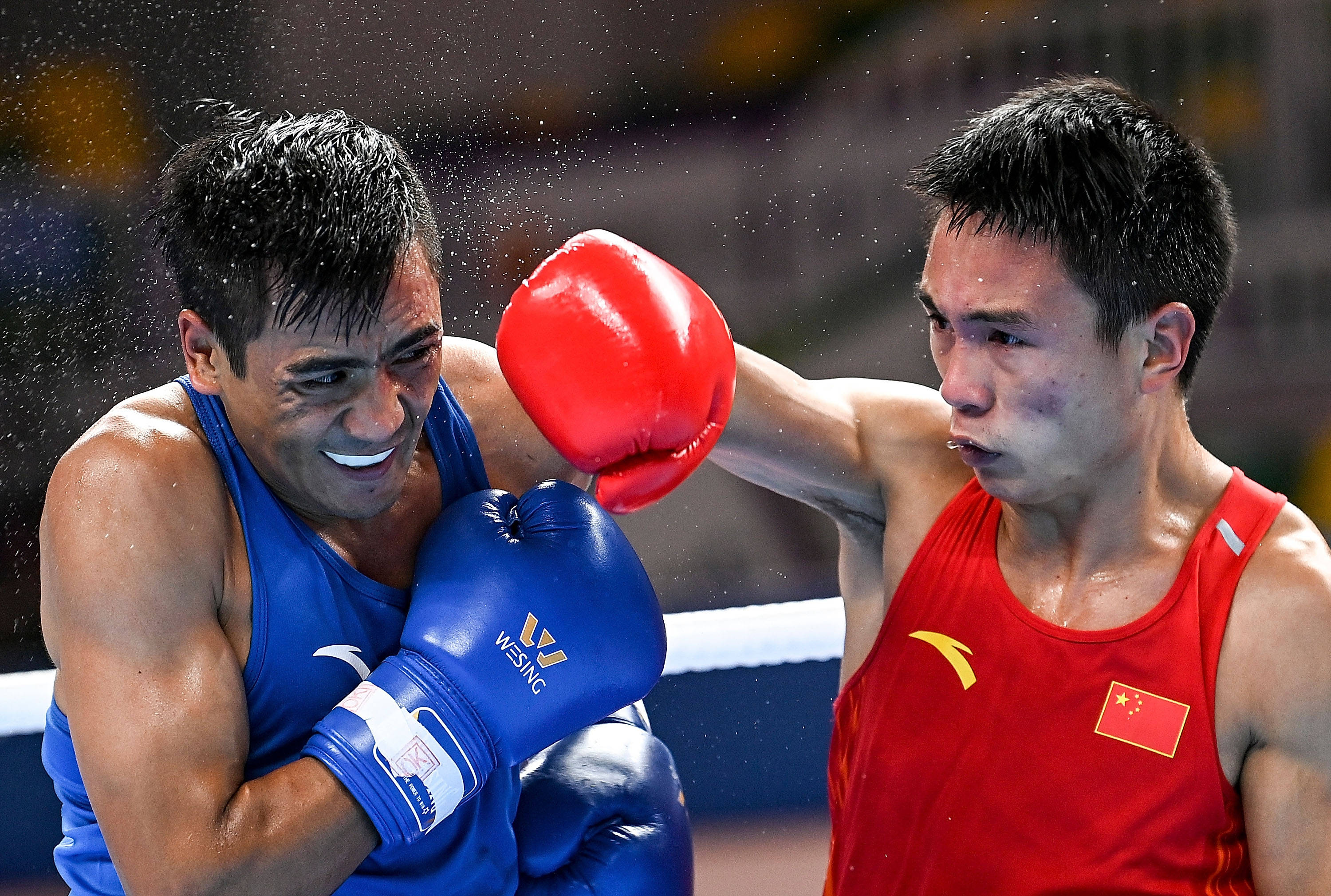 包含拳击赛事精彩瞬间盘点，年度回顾震撼登场的词条