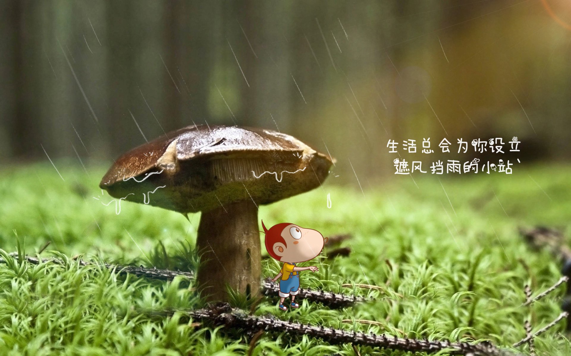 洲际对话中的传奇，莫德里奇在南非与希腊的史诗对决中打出生涯之夜