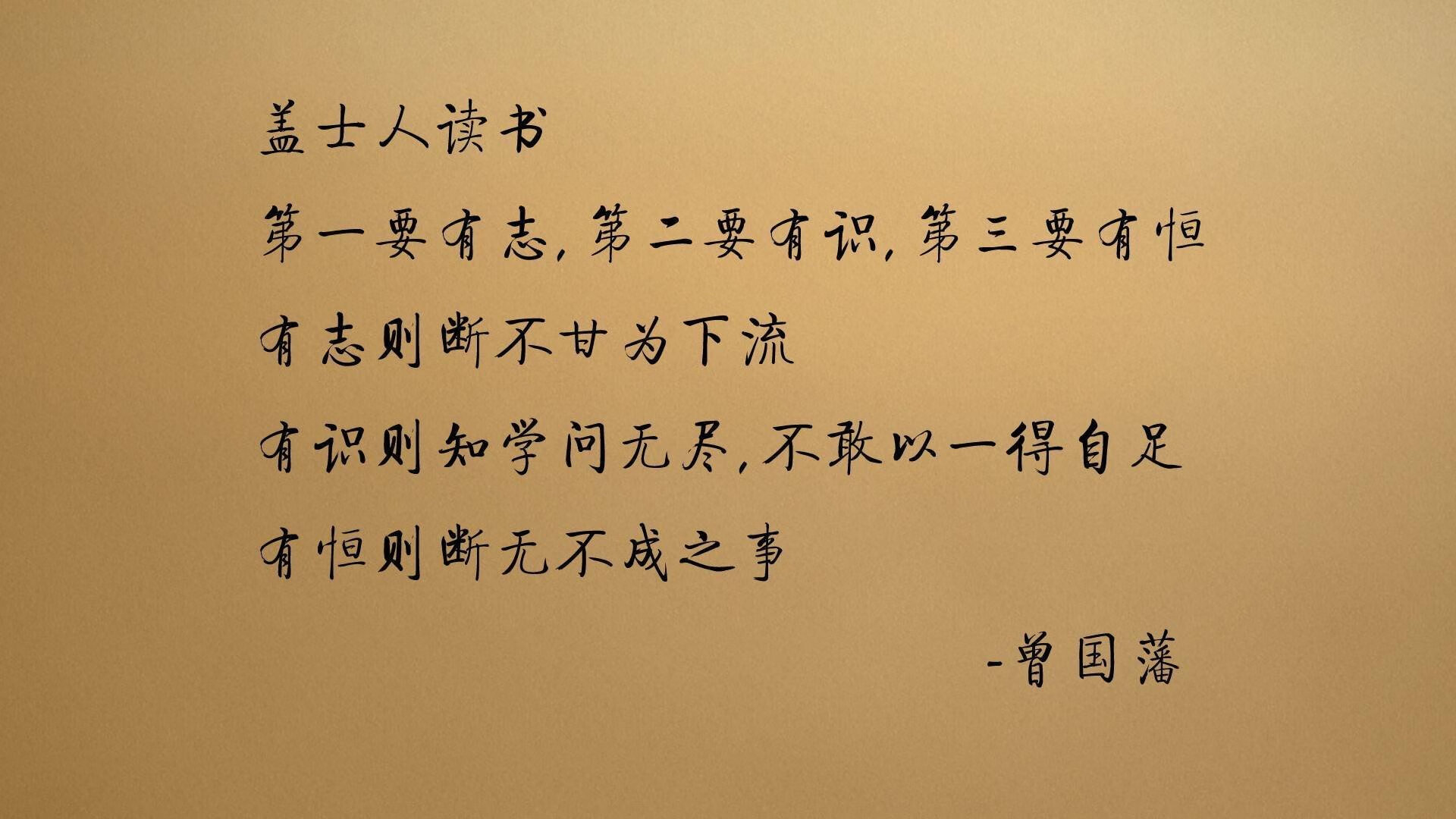 高地风暴席卷伊蒂哈德,弗拉霍维奇在曼彻斯特的战术革命中化身关键先生