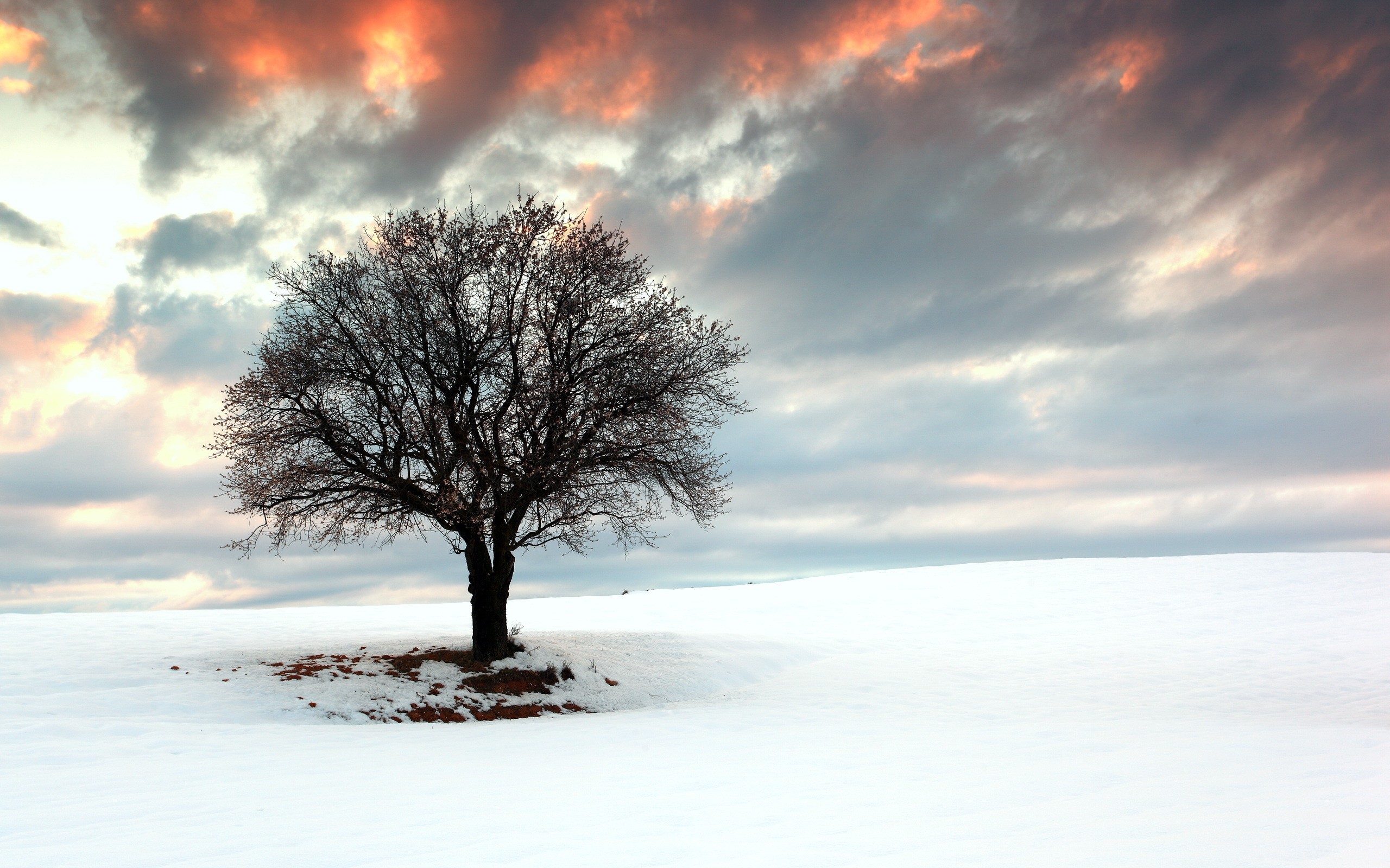 亚细亚与南美的火并，当哥伦比亚血拼韩国，加维在别处擦亮金球