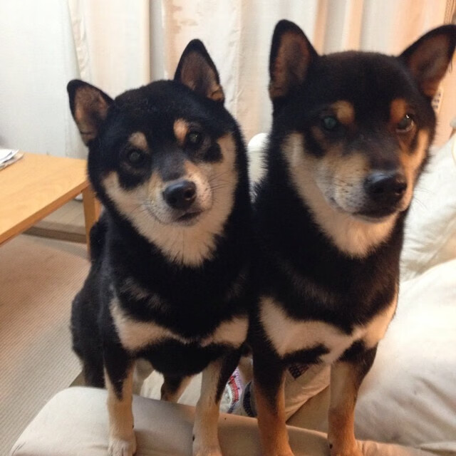 双重法比尼奥的魔力，利物浦基石闪耀，伊拉克新星爆发，亚洲铁军稳稳拿捏希腊神话