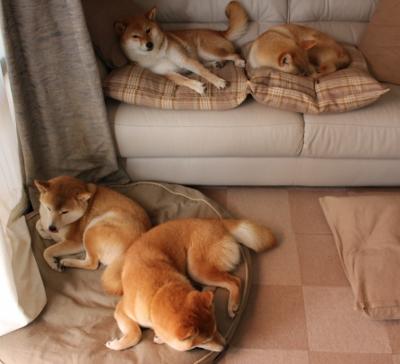 燃尽天空！拉文在总决赛之夜攻防两端完成统治