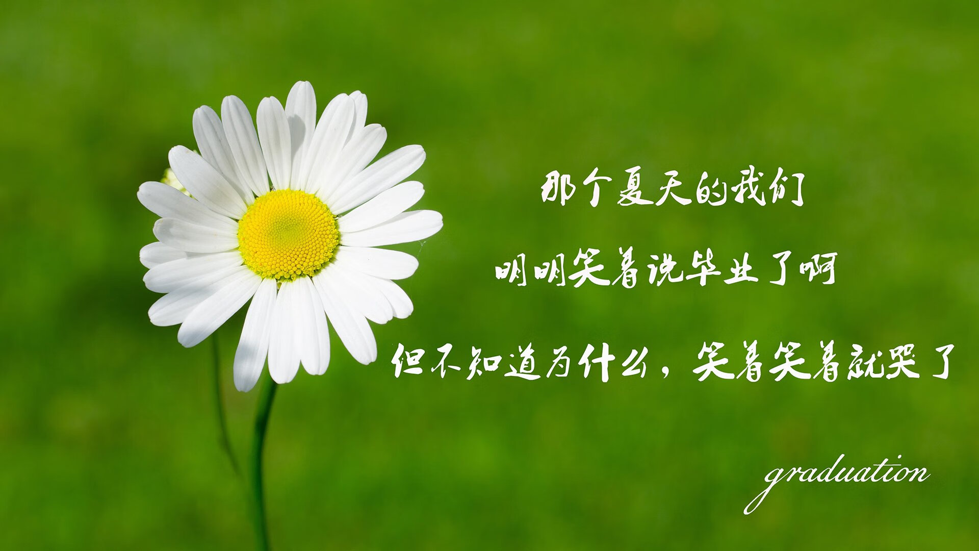 美加墨世界杯惊现绝对统治,塔雷米独造四球,美国碾压克罗地亚书写历史