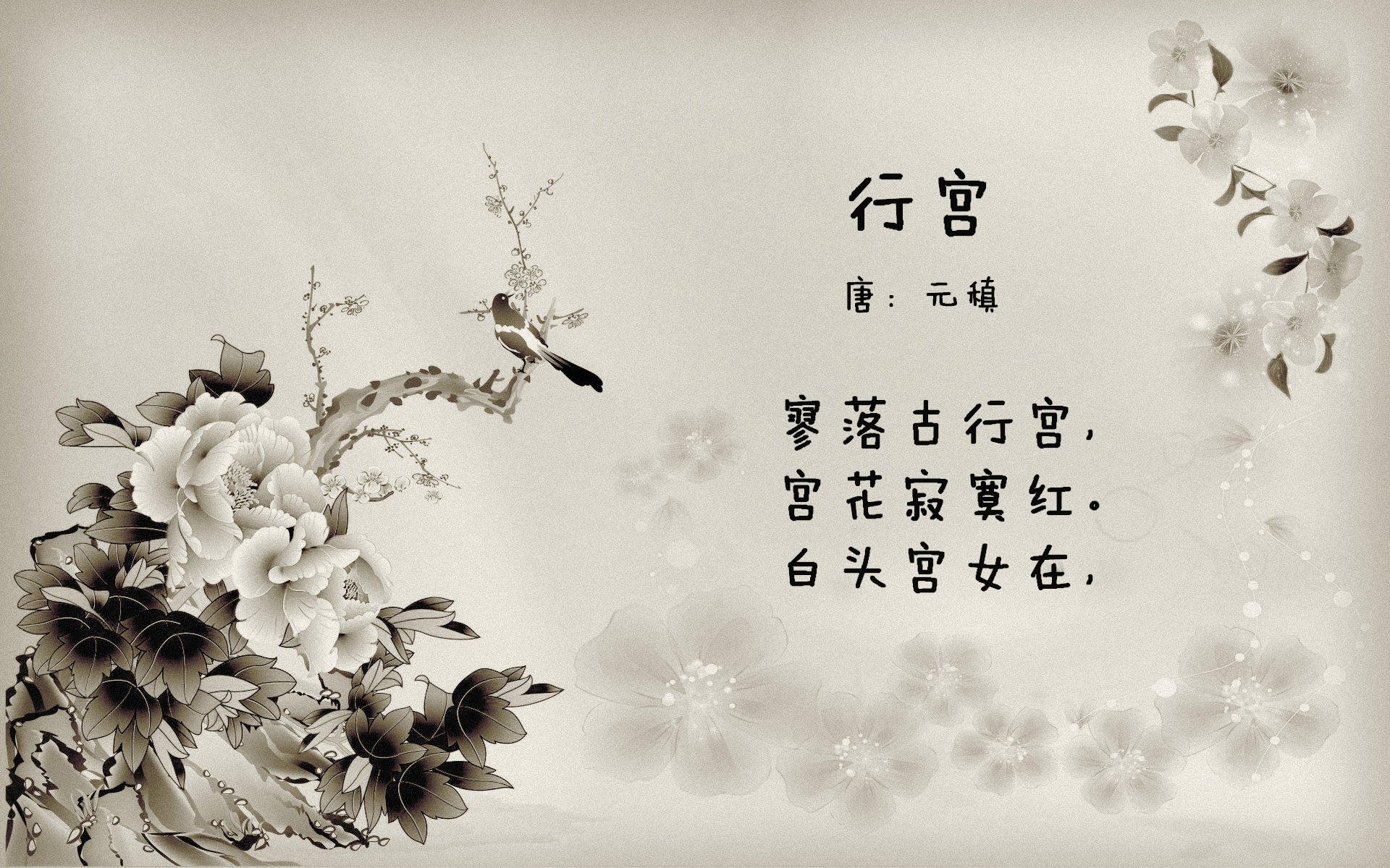 中亚蓝狐的独舞,2026美加墨,一场被命运和哈兰德共同锁死的唯一逆袭