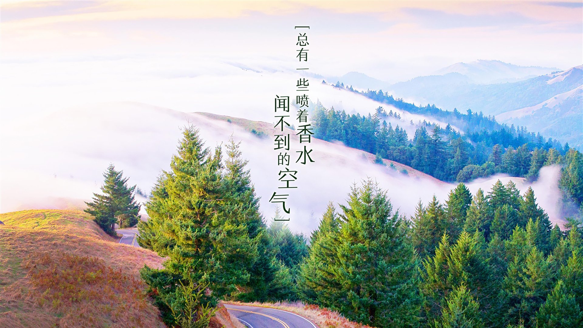 蓝色武士的狂啸与黑色雄狮的悲鸣,2026世界杯B组,卢卡库一个人的战争
